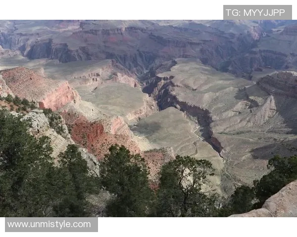 克罗拉多与新英格兰的激烈对决揭示足球战术与团队精神的较量